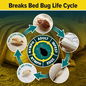 NOPE! Bed Bug Spray breaks the bed bug life cycle.