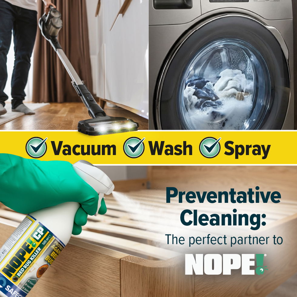 Vacuum, wash and spray with NOPE! Bed Bug Spray.