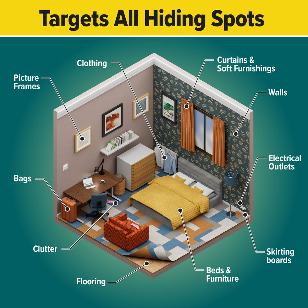 NOPE! Bed Bug Spray targets all hiding spots.