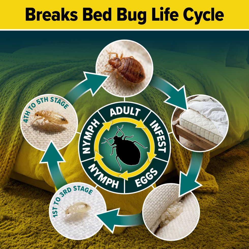 NOPE! breaks the bed bug life cycle.