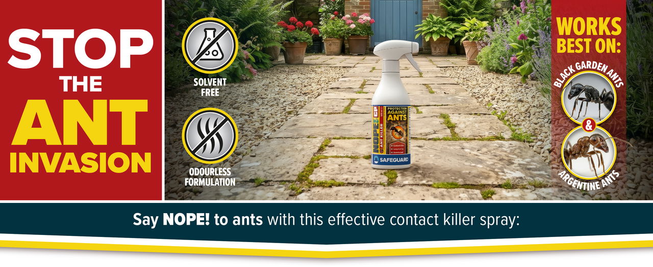 Stop the ant invasion with NOPE! Ant Killer Spray.