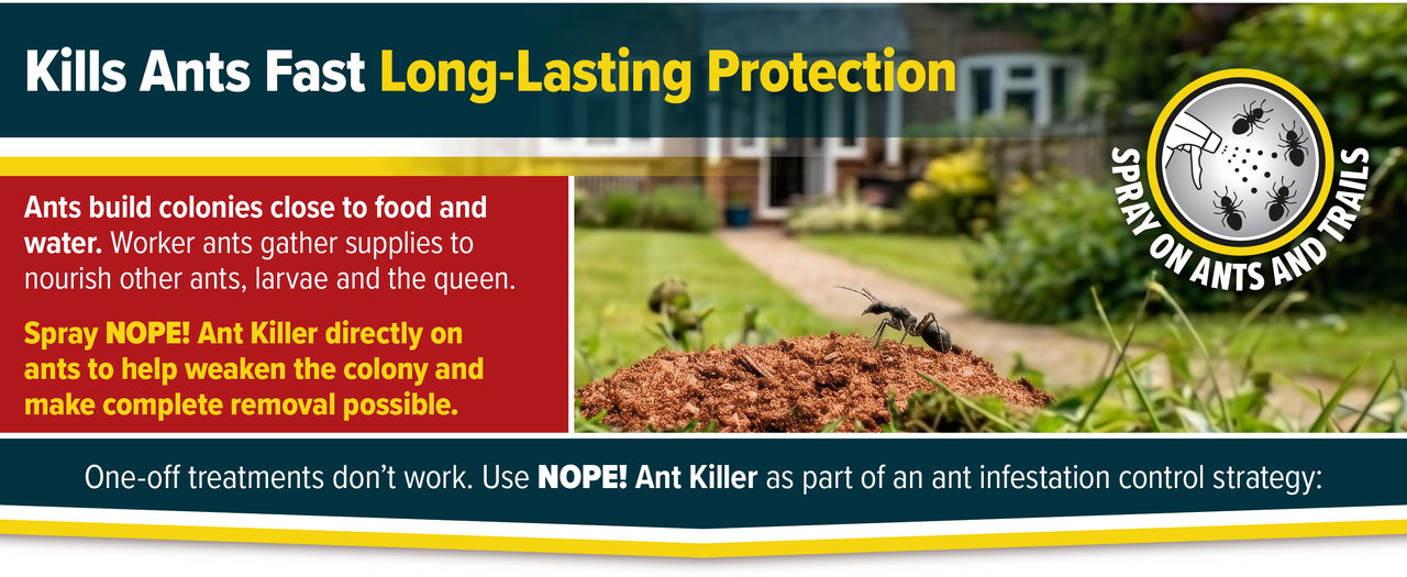 Kills ants fast for long-lasting protection.