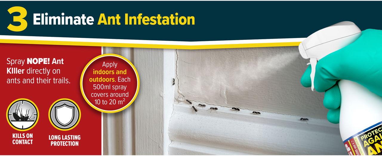 Eliminate Ant Infestations with NOPE! Ant Killer