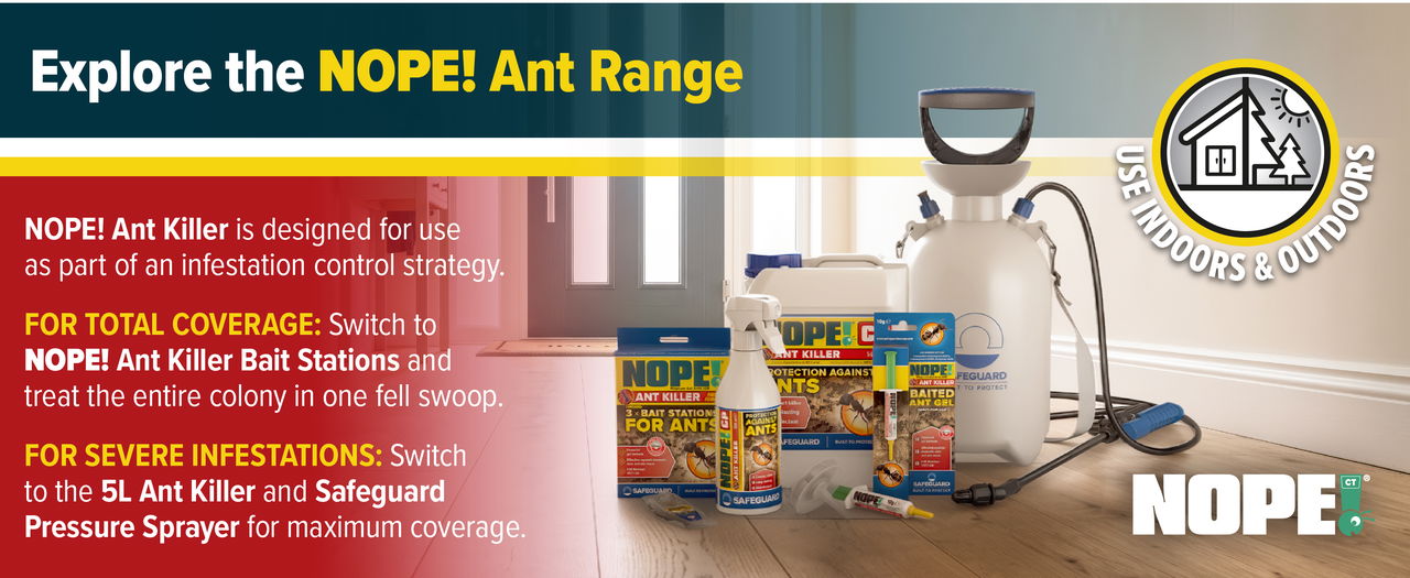 Explore the NOPE! Ant Range