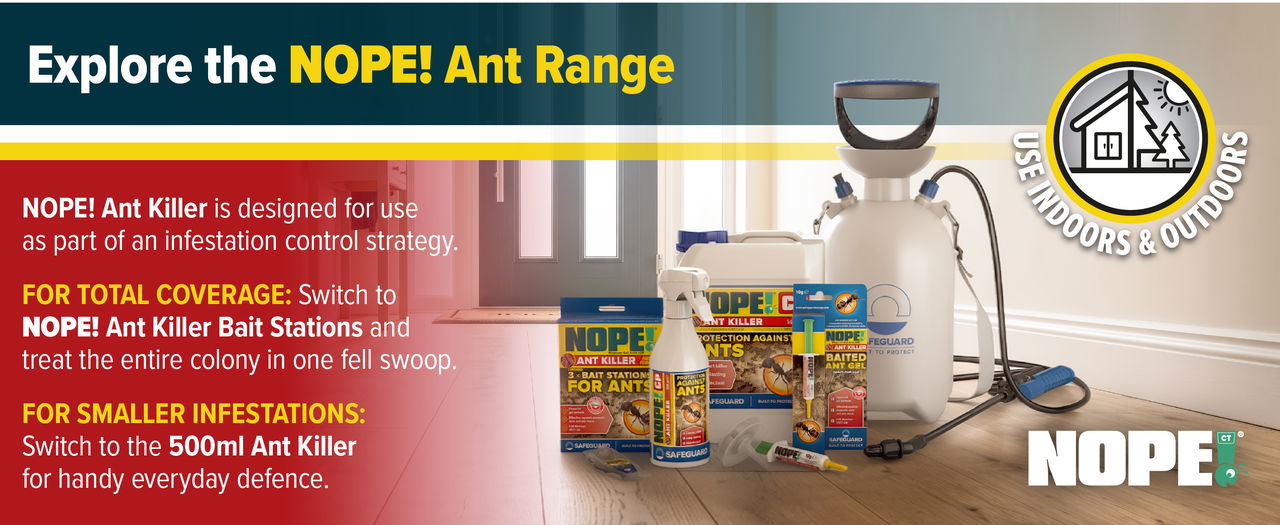 Explore the whole NOPE! ant range.