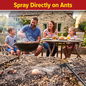 Spray directly on ants for best results.