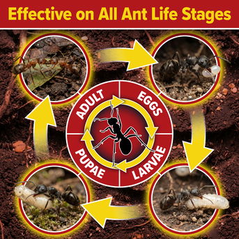 Effective on all stages of the Ant Life Cycle