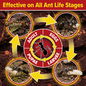 Effective on all stages of the Ant Life Cycle