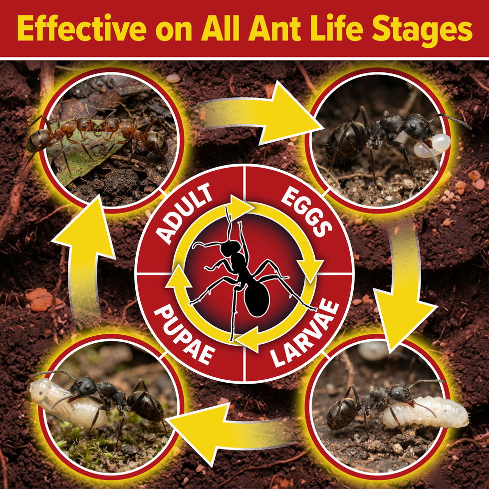 Effective on all stages of the Ant Life Cycle