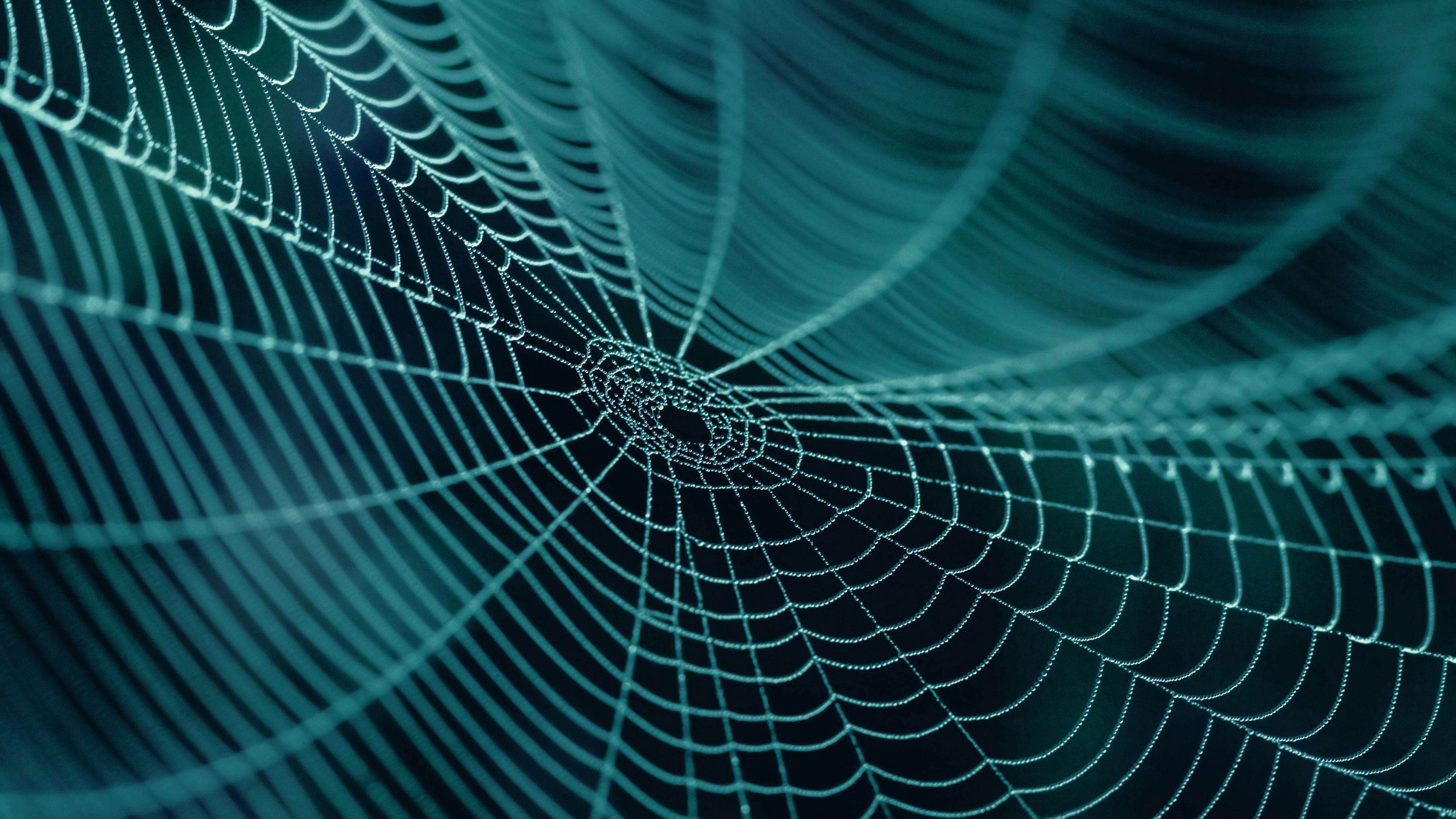 Shutterstock 200612795 web 16x9