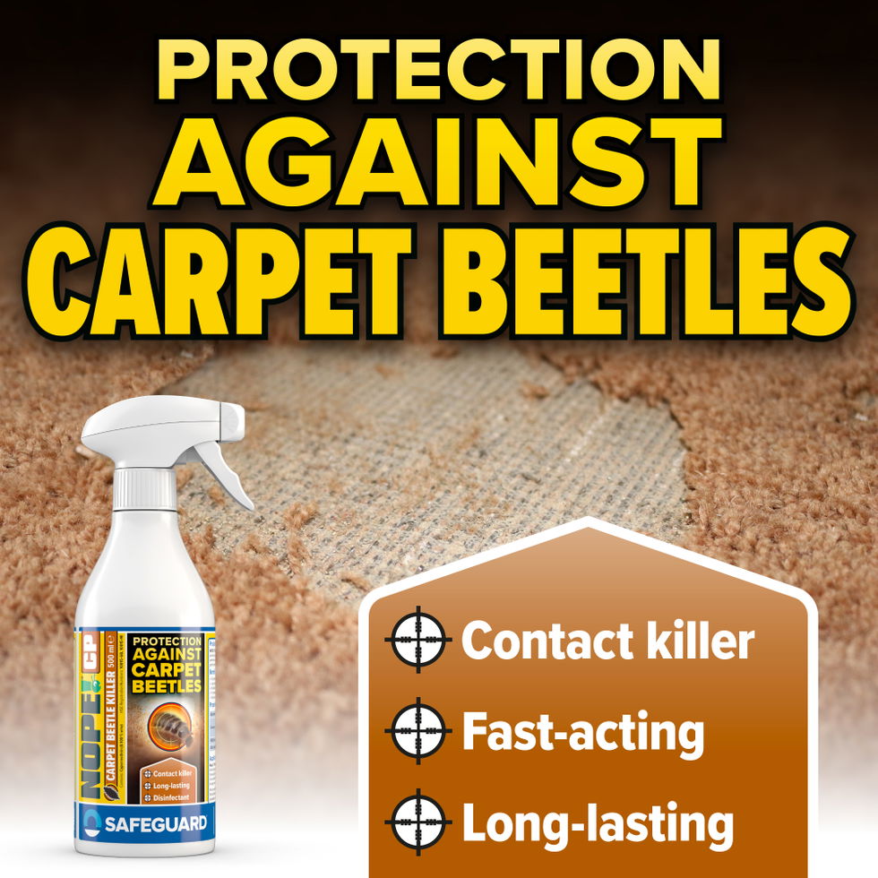 NOPE! CP Carpet Beetle 500ml Spray Supporting Image 1