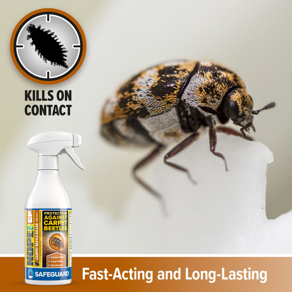 NOPE! CP Carpet Beetle 500ml Spray Supporting Image 6