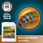 NOPE! CP Carpet Beetle 5 L Spray Supporting Image 2