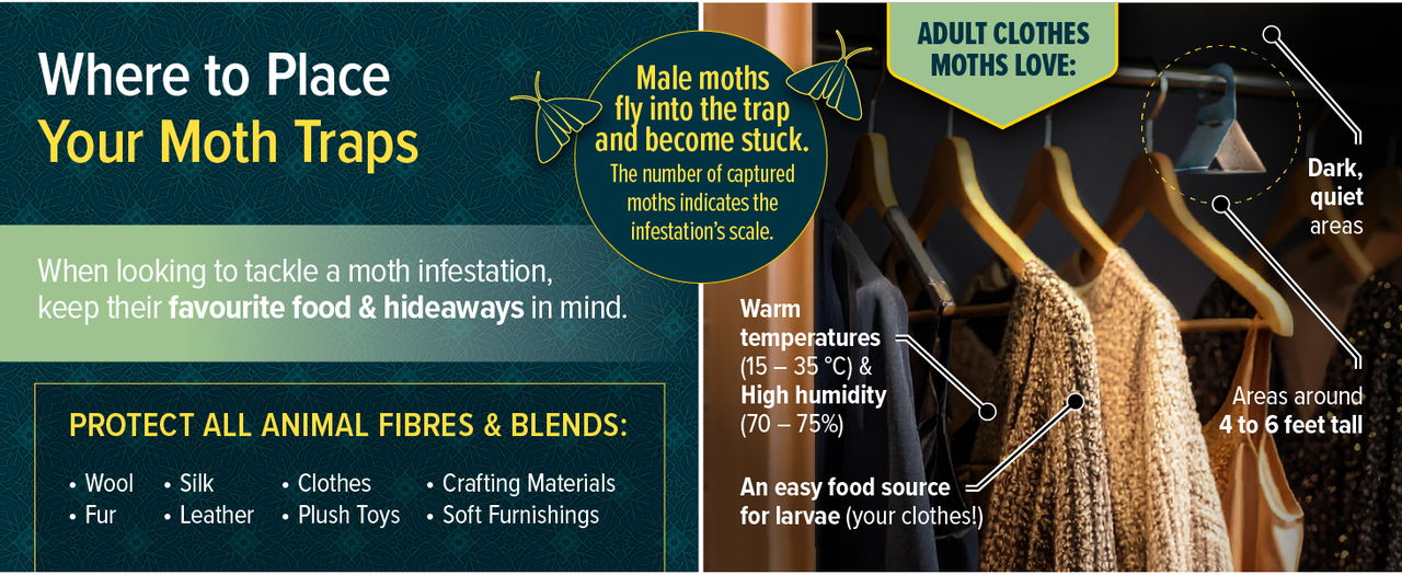 Protect all animal fibres with NOPE! Clothes Moth Traps.