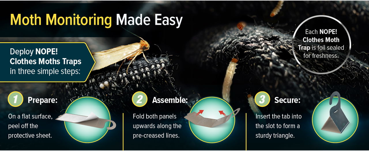 Moth monitoring made easy with NOPE! Clothes Moth Traps.