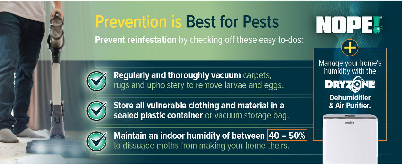 Prevention with vacuuming, sealing clothes in plastic containers and maintaining an indoor humidity 40-50% is the best way to keep moths away.