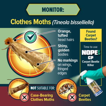 Monitor Clothes Moths with NOPE!
