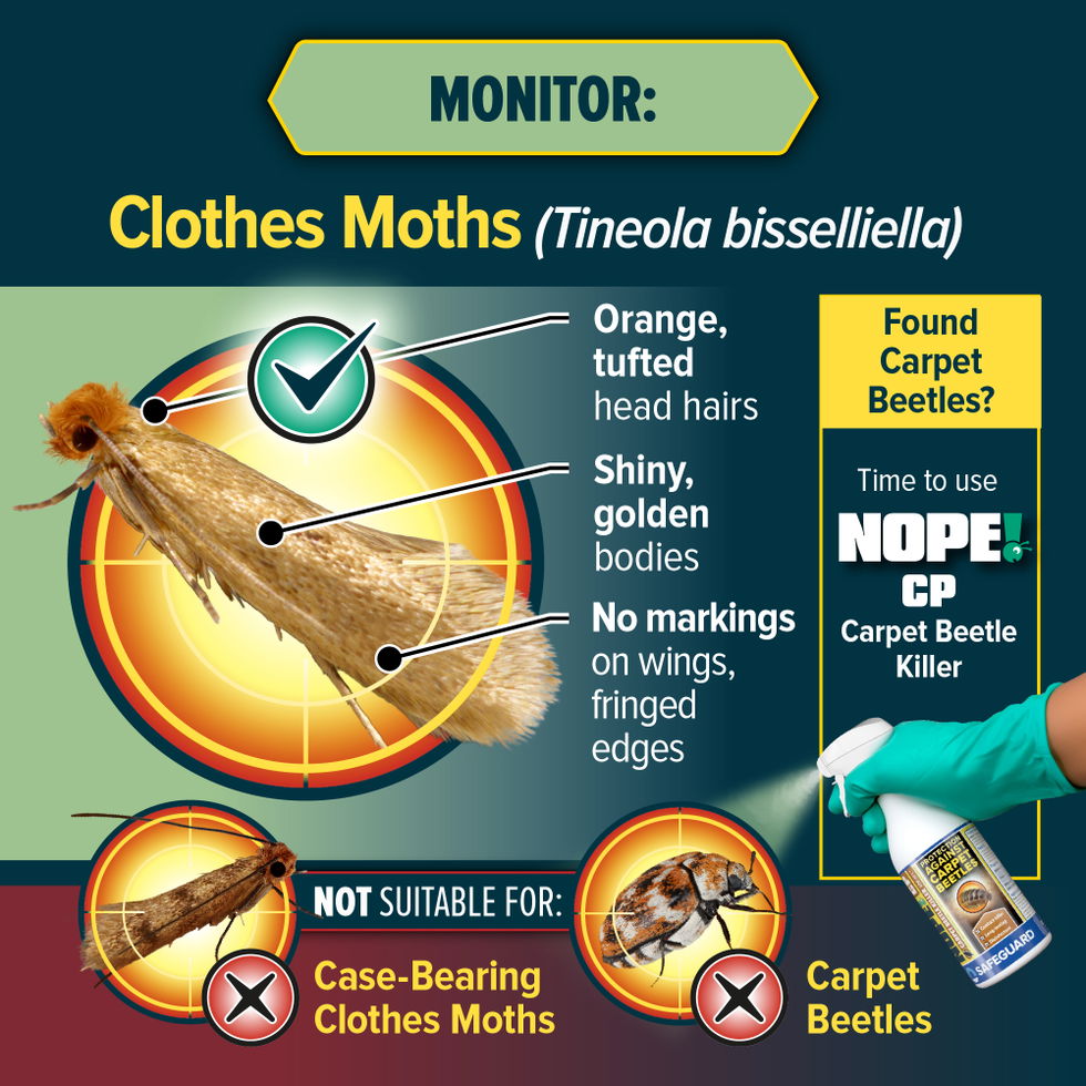 Monitor Clothes Moths with NOPE!