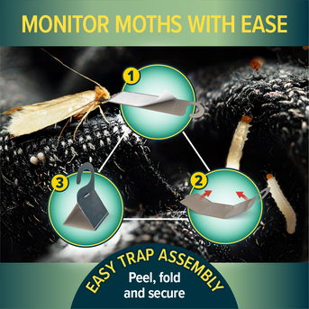Monitor moths with ease with NOPE! Clothes Moth Traps.