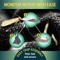 Monitor moths with ease with NOPE! Clothes Moth Traps.