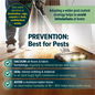 Adopting a holistic pest control strategy helps to avoid reinfestation.