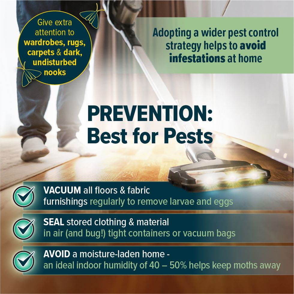 Adopting a holistic pest control strategy helps to avoid reinfestation.