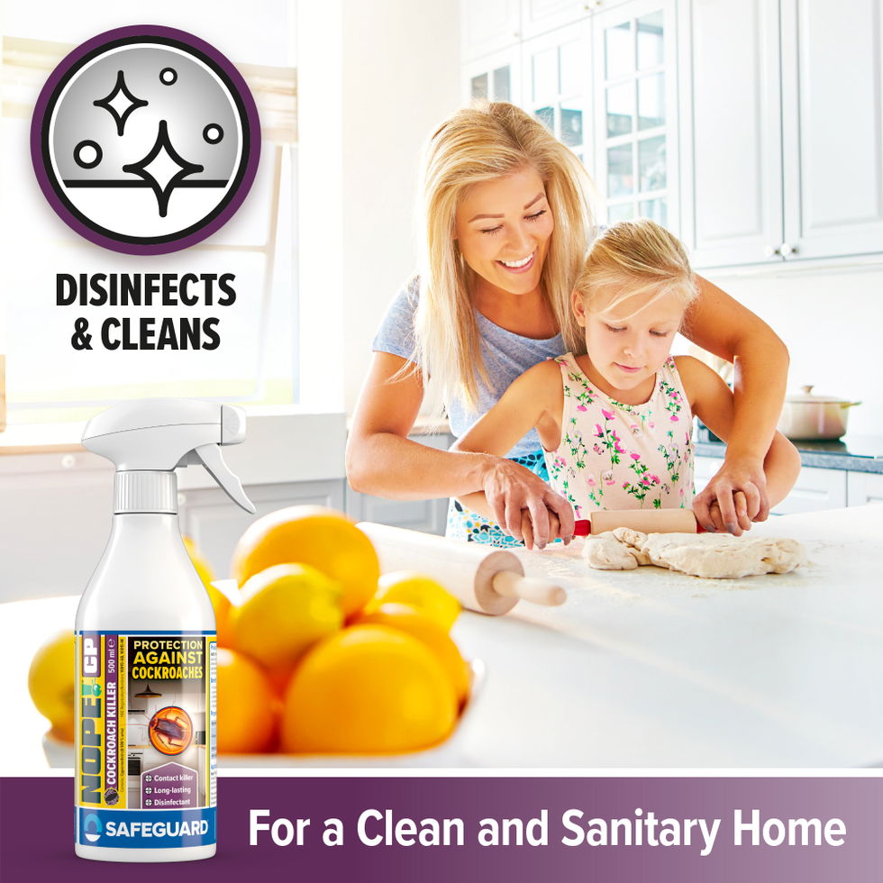 NOPE CP Cockroach 500ml spray supporting images 3