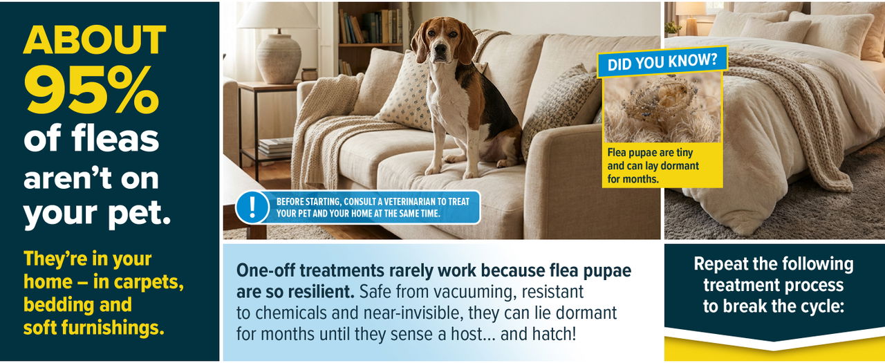 95% of fleas aren't on your pet - they're on furniture in the home.