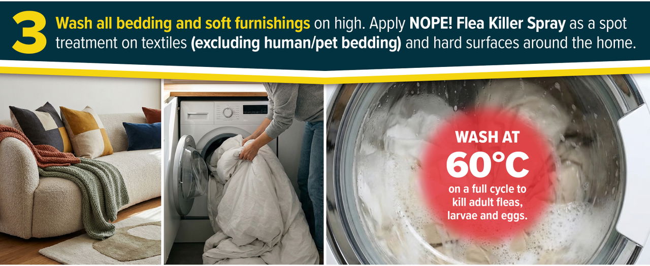 Wash clothes and bedding at 60 degrees on a full cycle to remove fleas