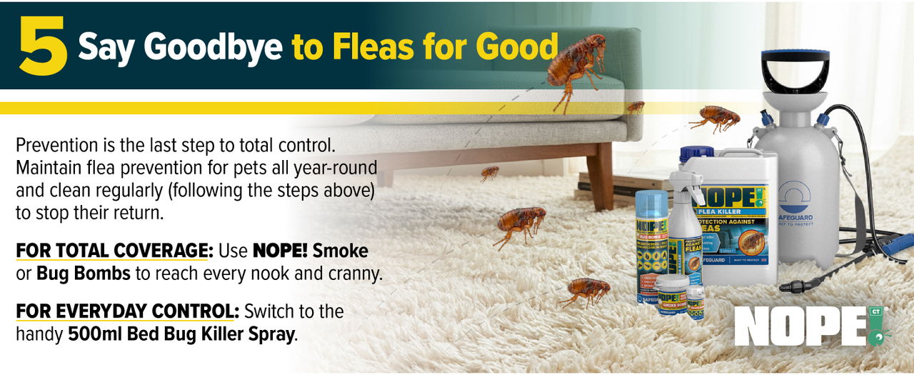 Say goodbye to fleas for good with NOPE!
