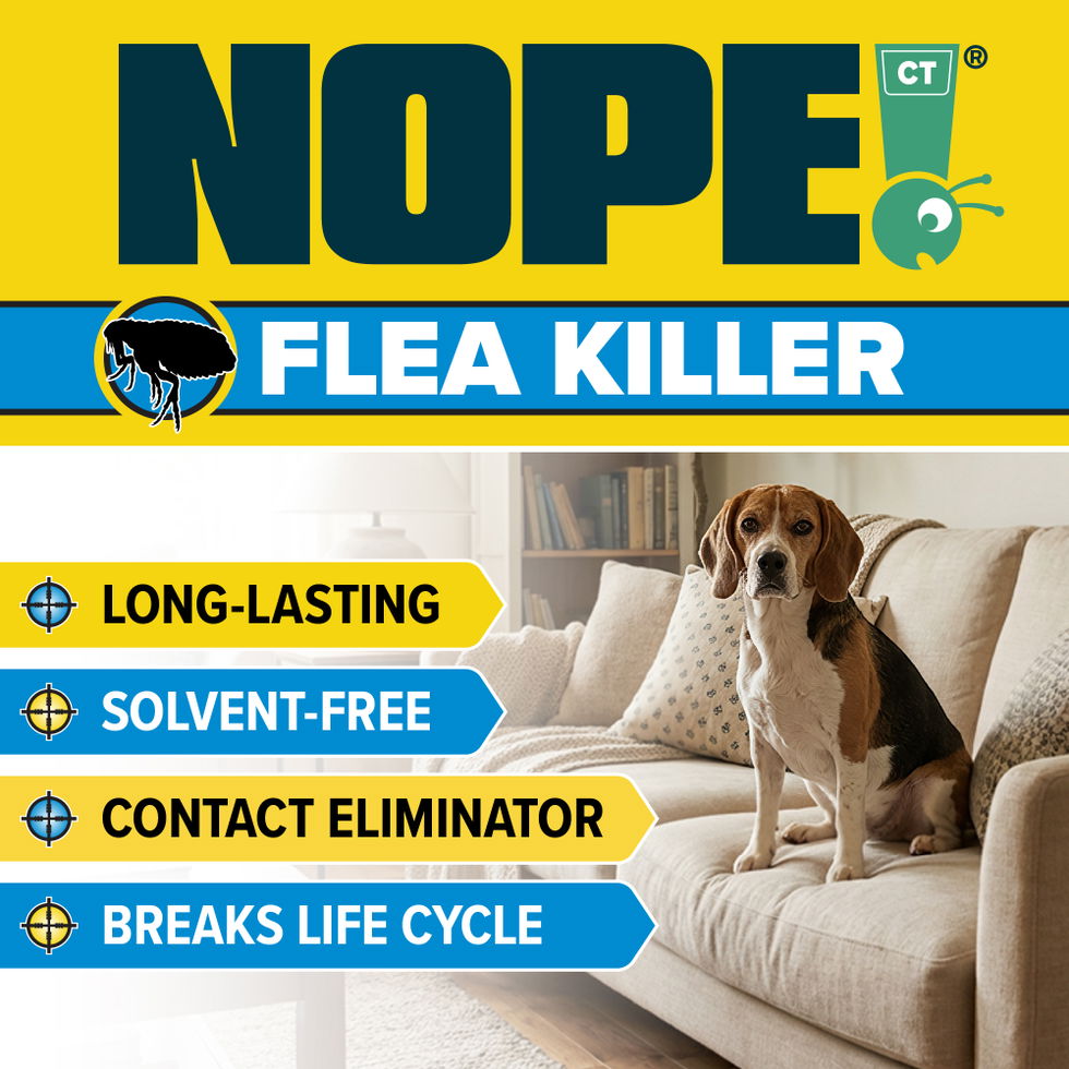 NOPE! Flea Killer is long-lasting, solvent-free and breaks the flea life cycle