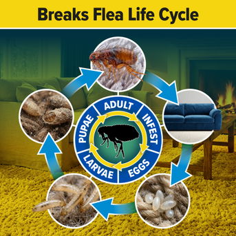 NOPE! Flea KIller breaks the flea life cycle