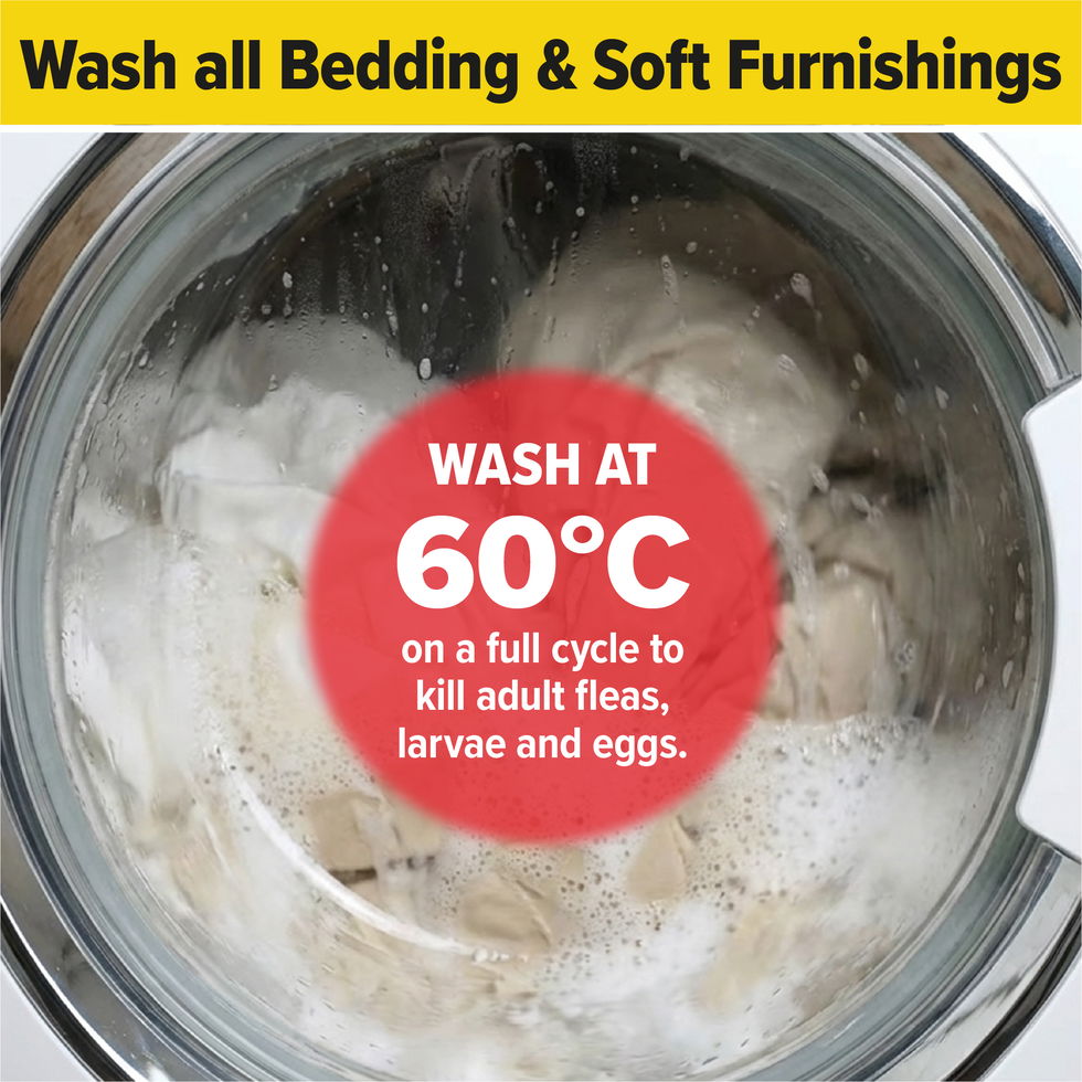 Wash all bedding and soft furnishings on high to help remove fleas.