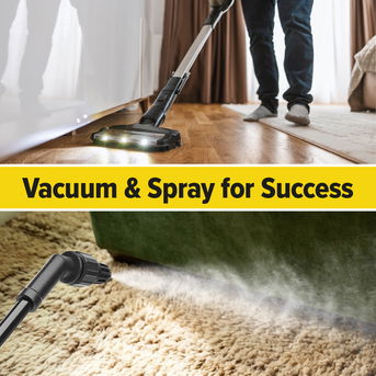 Combine regular vacuuming with the spray for success.