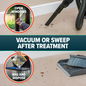 Vacuum or use brush all dead insects away after smoke bomb application.