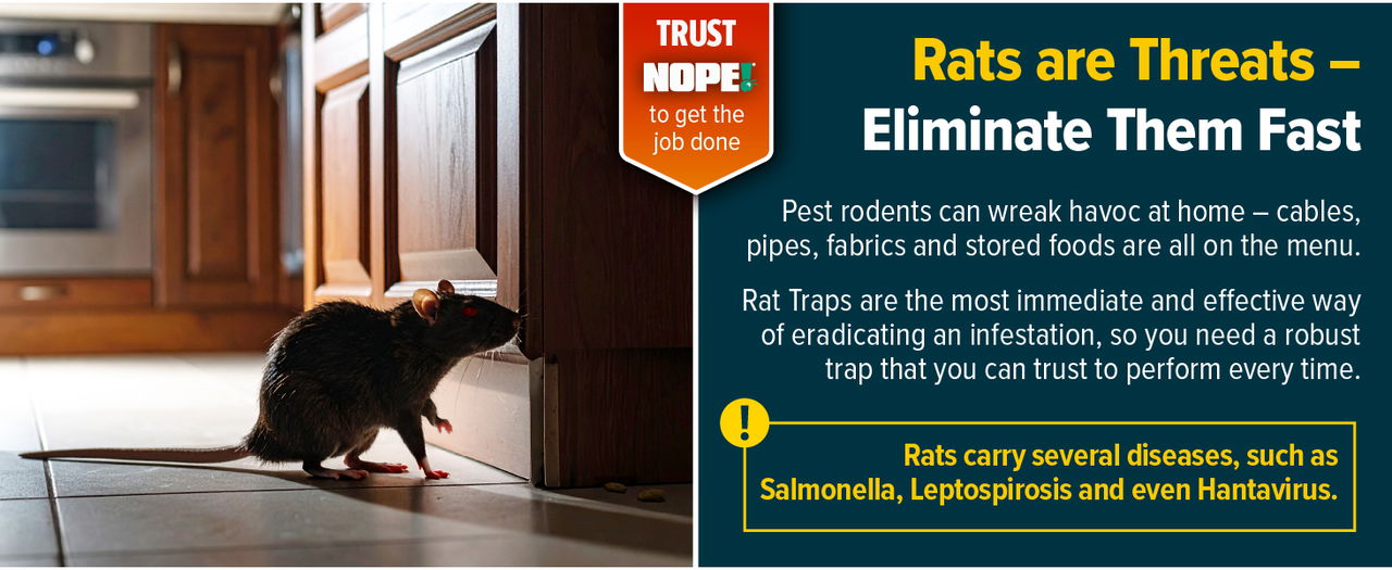 Rats are dangerous - eliminate them quickly with NOPE!