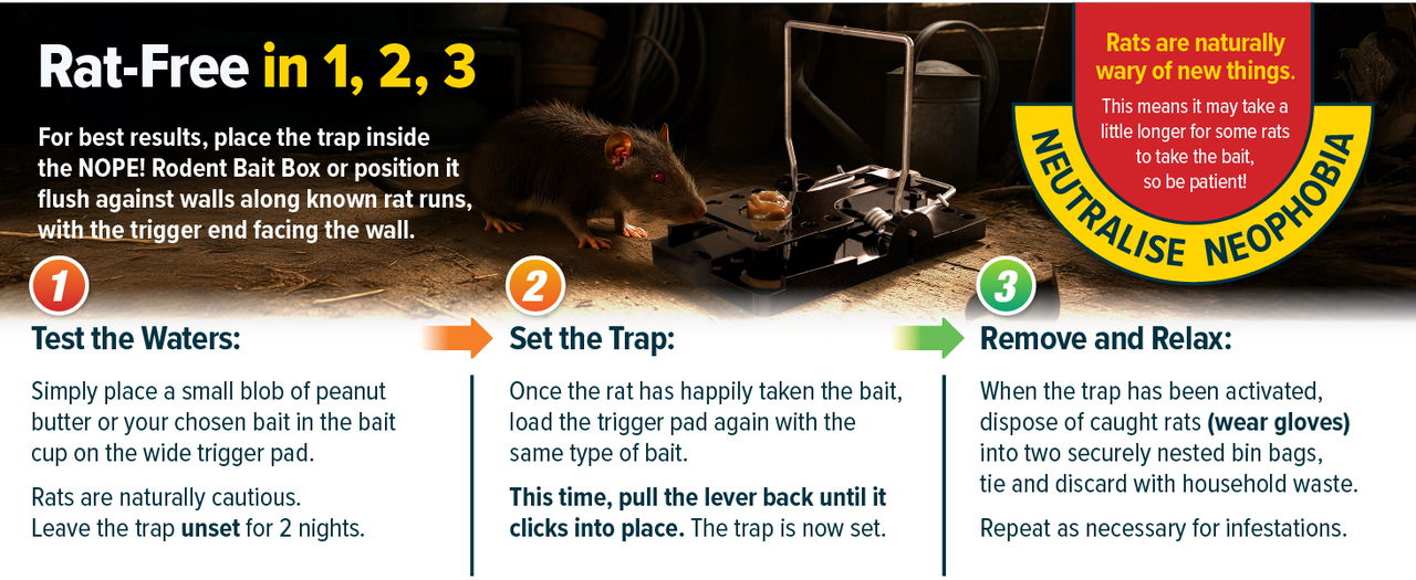 How to get rat free in 3 easy steps