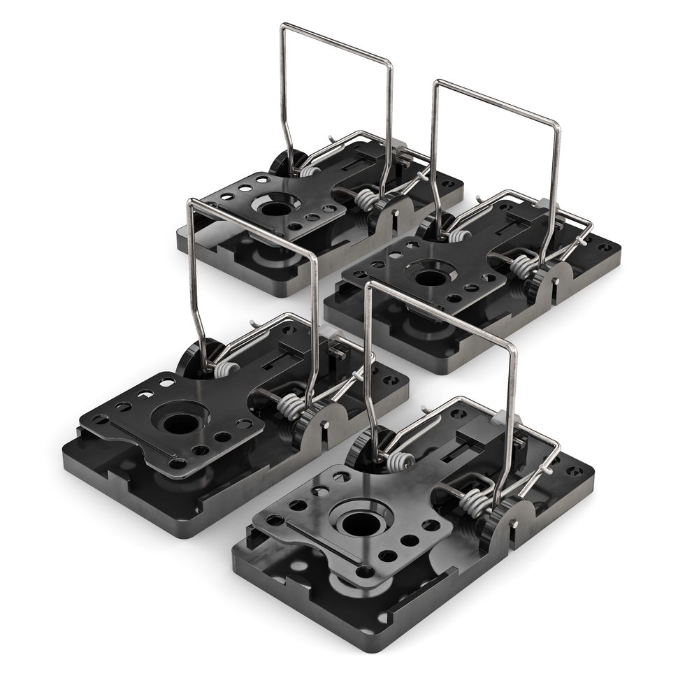 NOPE! Rat Mouse Trap 4-Pack Armed (white b/g)