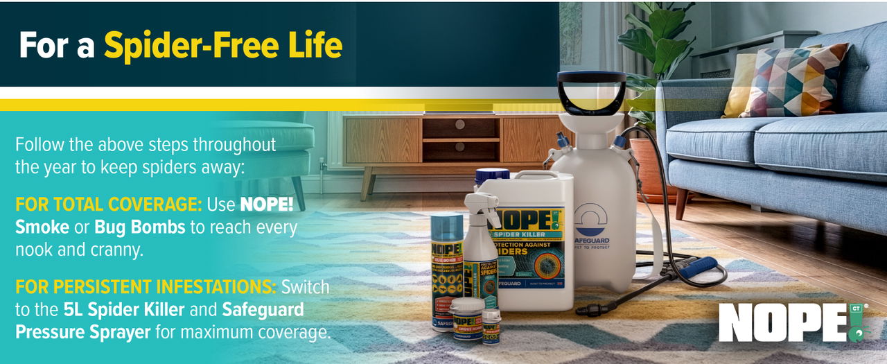 For a spider-free home.