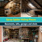 Spray spider hiding places: basements, lofts, garages