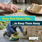 Keep your home dry to keep spiders away.