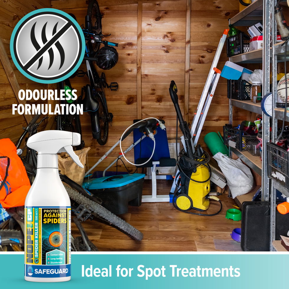 NOPE! CP Spider Killer has an odourless formulation