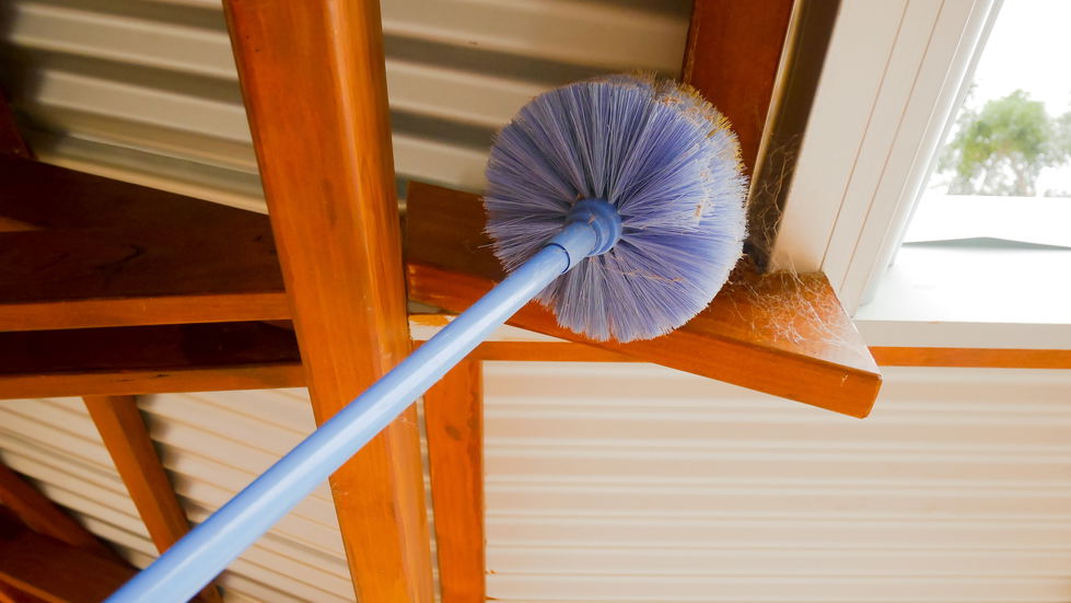 A homeowner clears a ceiling cobweb with a feather duster 16x9