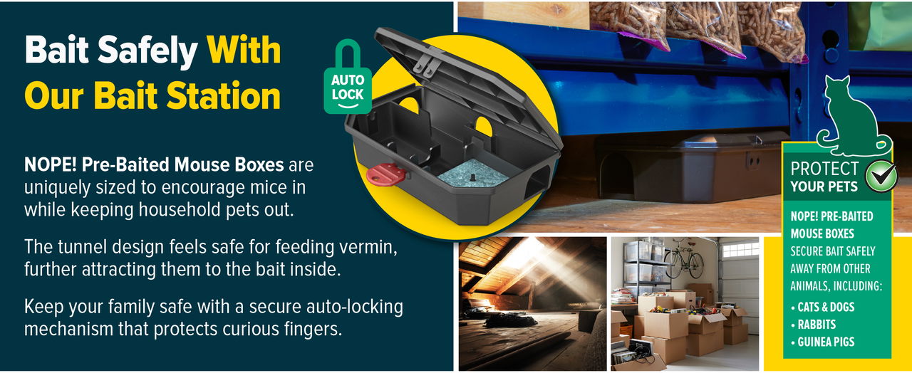 Bait safely with our Mouse Boxes