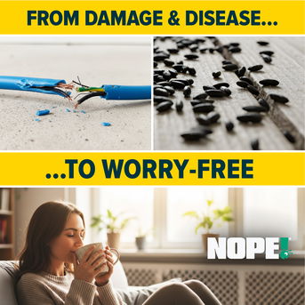 From damage and disease to worry-free with NOPE!