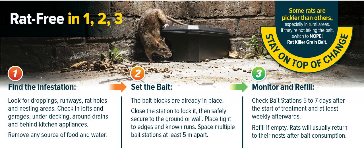 Your home can be rat-free in 3 accessible steps.