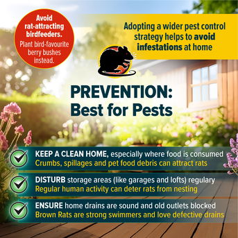 Prevention is the best form of pest control.