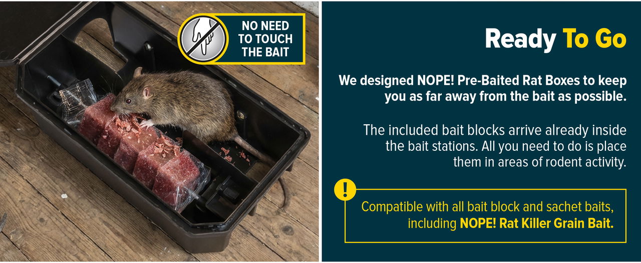 NOPE! Pre-Baited Rat Boxes are ready to go.