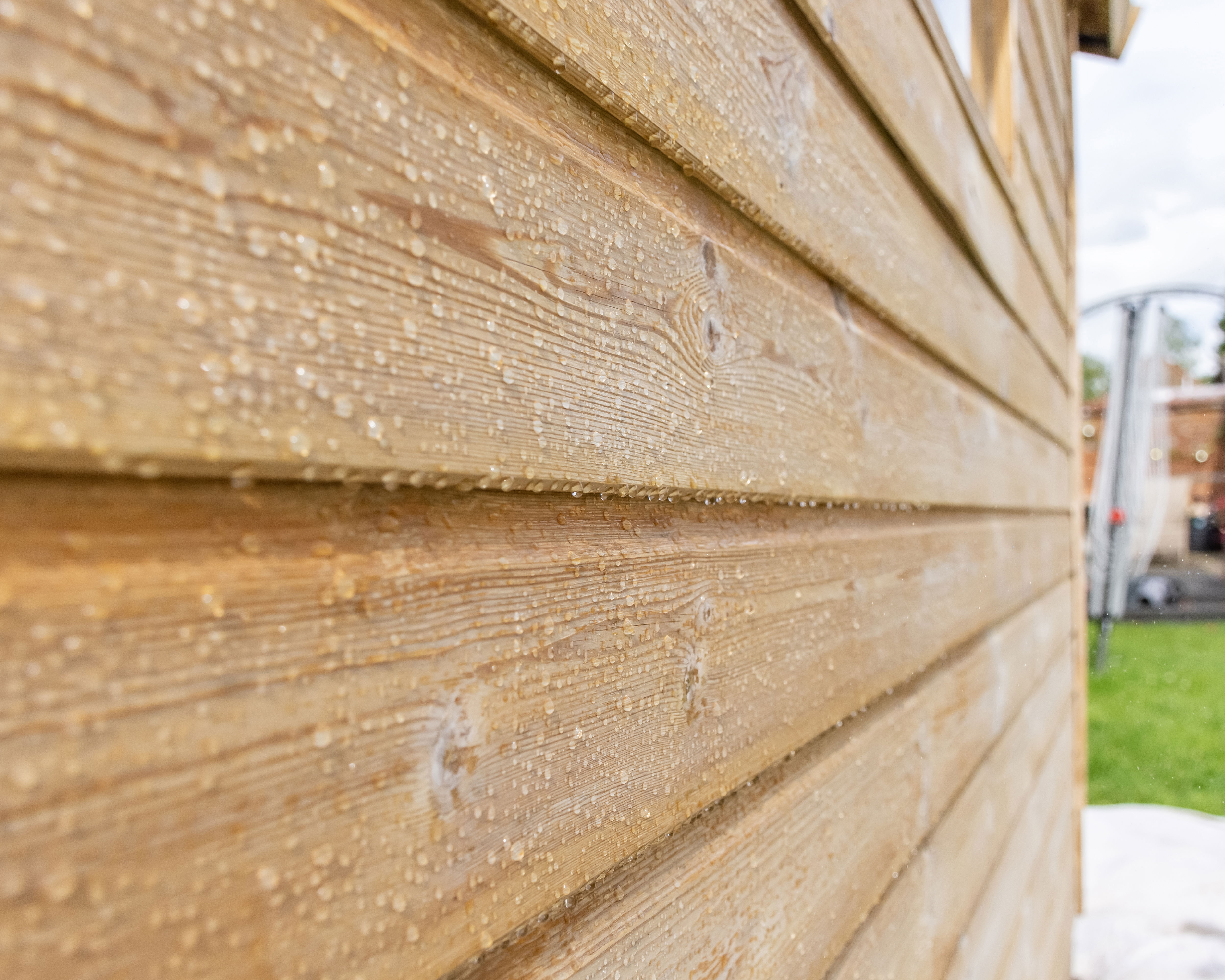 Rain beading on a wood panelled shed.