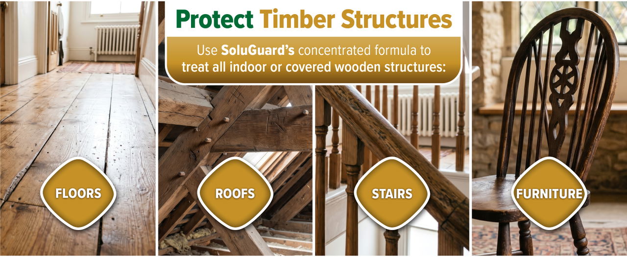 Protect timber structures with SoluGuard Woodworm Treatment